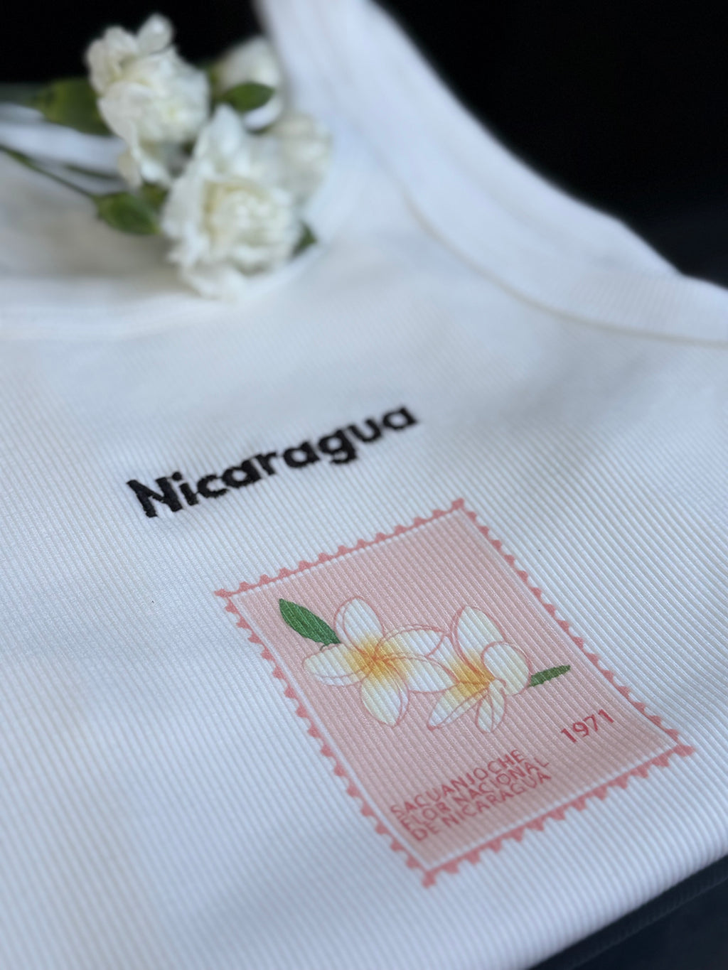 Nicaragua T shirt
