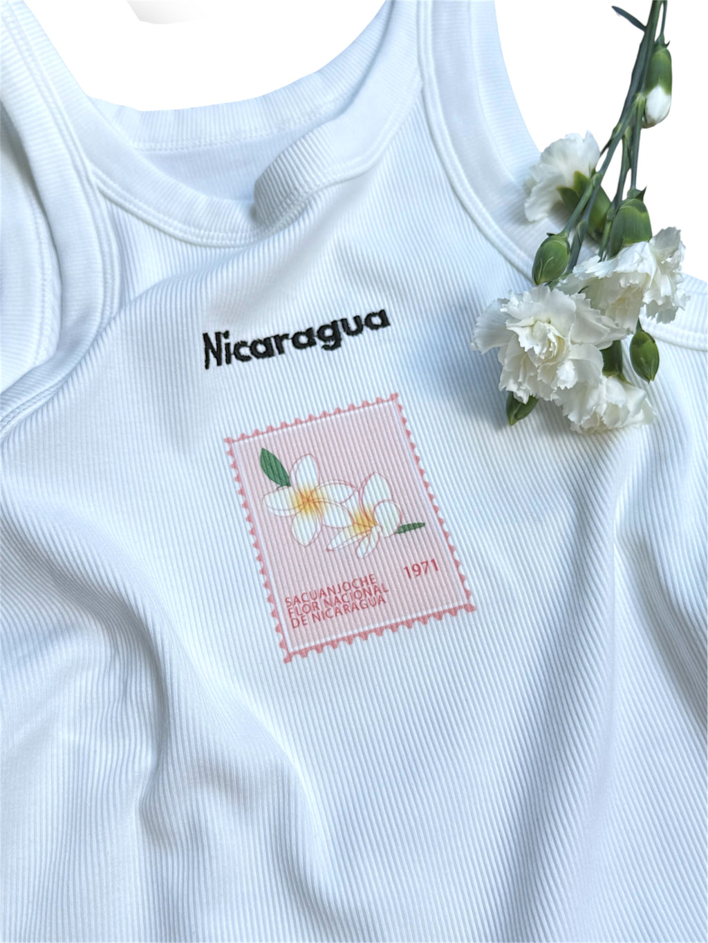 Nicaragua T shirt