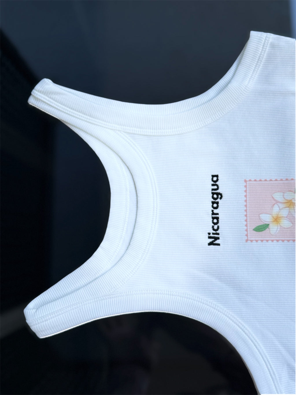 Nicaragua T shirt