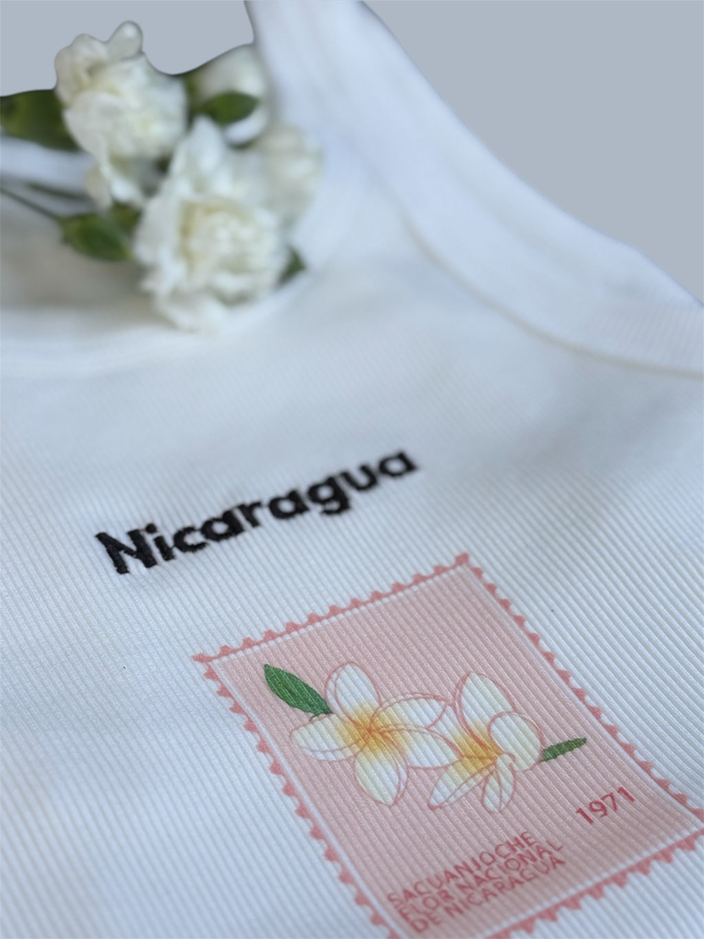 Nicaragua T shirt